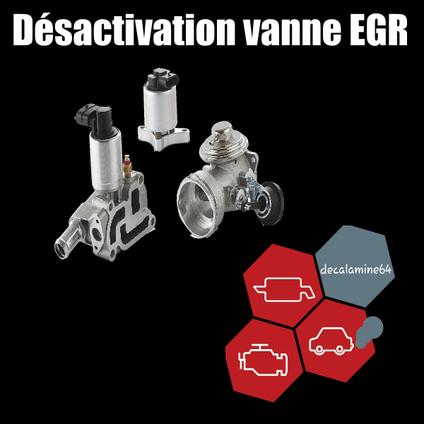 Désactivation électronique vanne EGR.